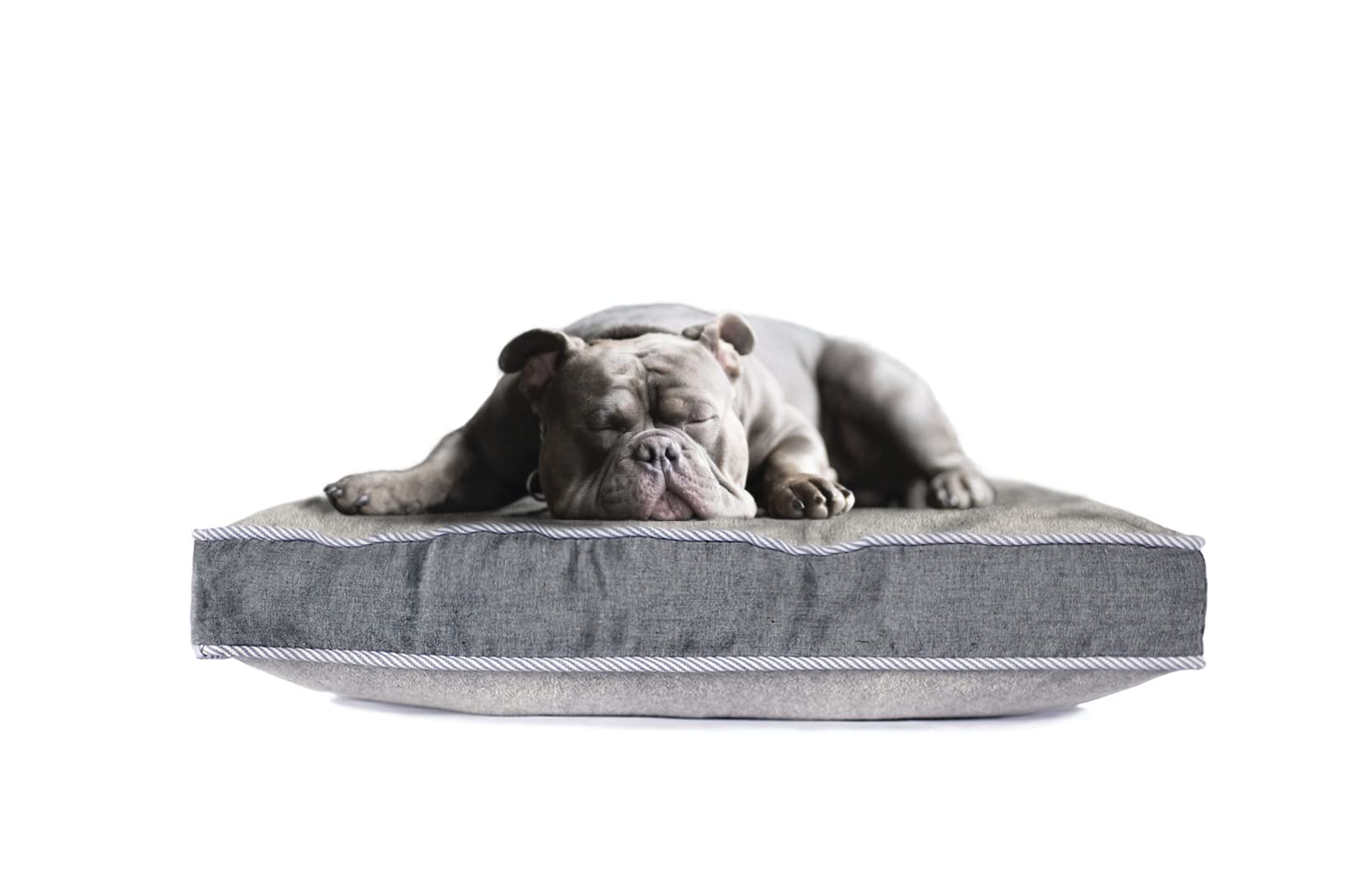 Permethrin-Treated Pet Bed - Mosquito & Tick Repellent for Dogs & Cats, Orthopedic Support, Washable Cover - Home & Travel Use