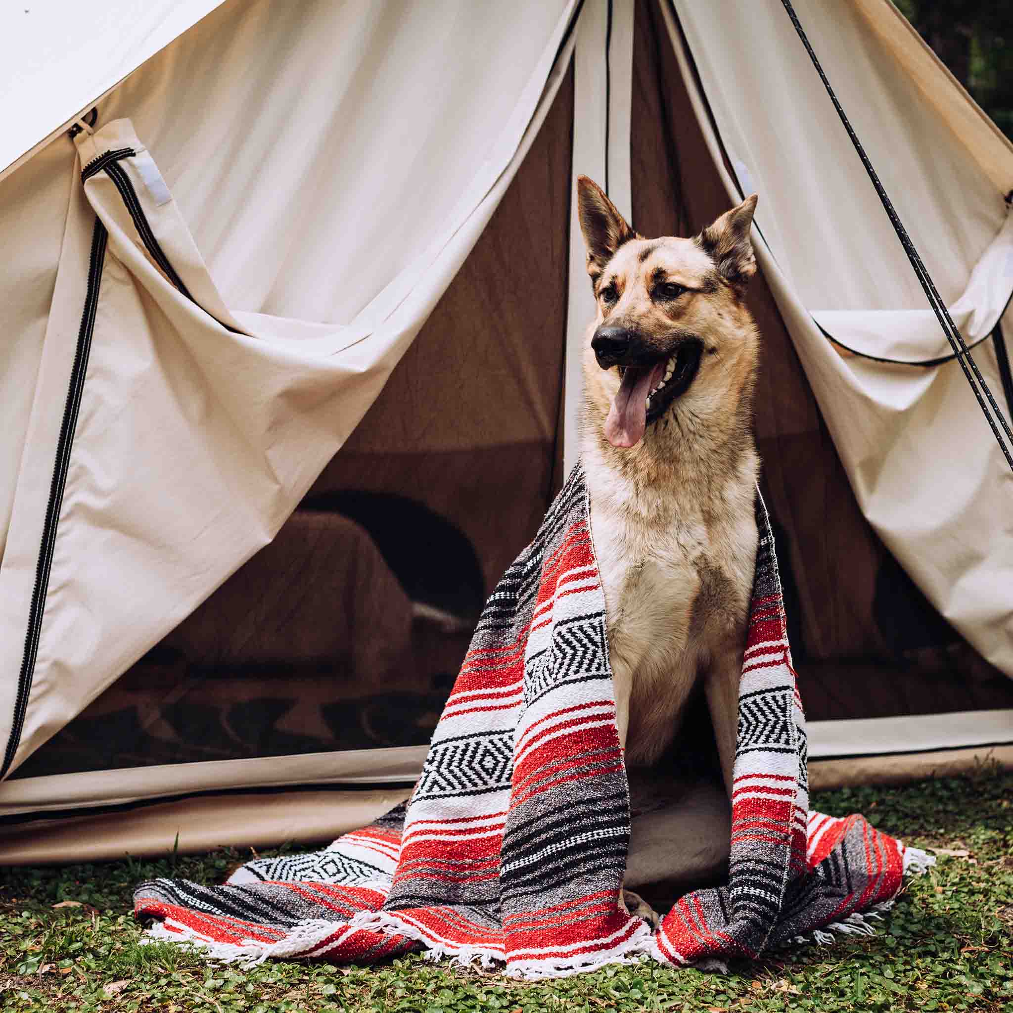 13' Avalon Bell Tent - Waterproof Canvas Camping Tent for Outdoor Adventures, Family Camping, Glamping & Festivals