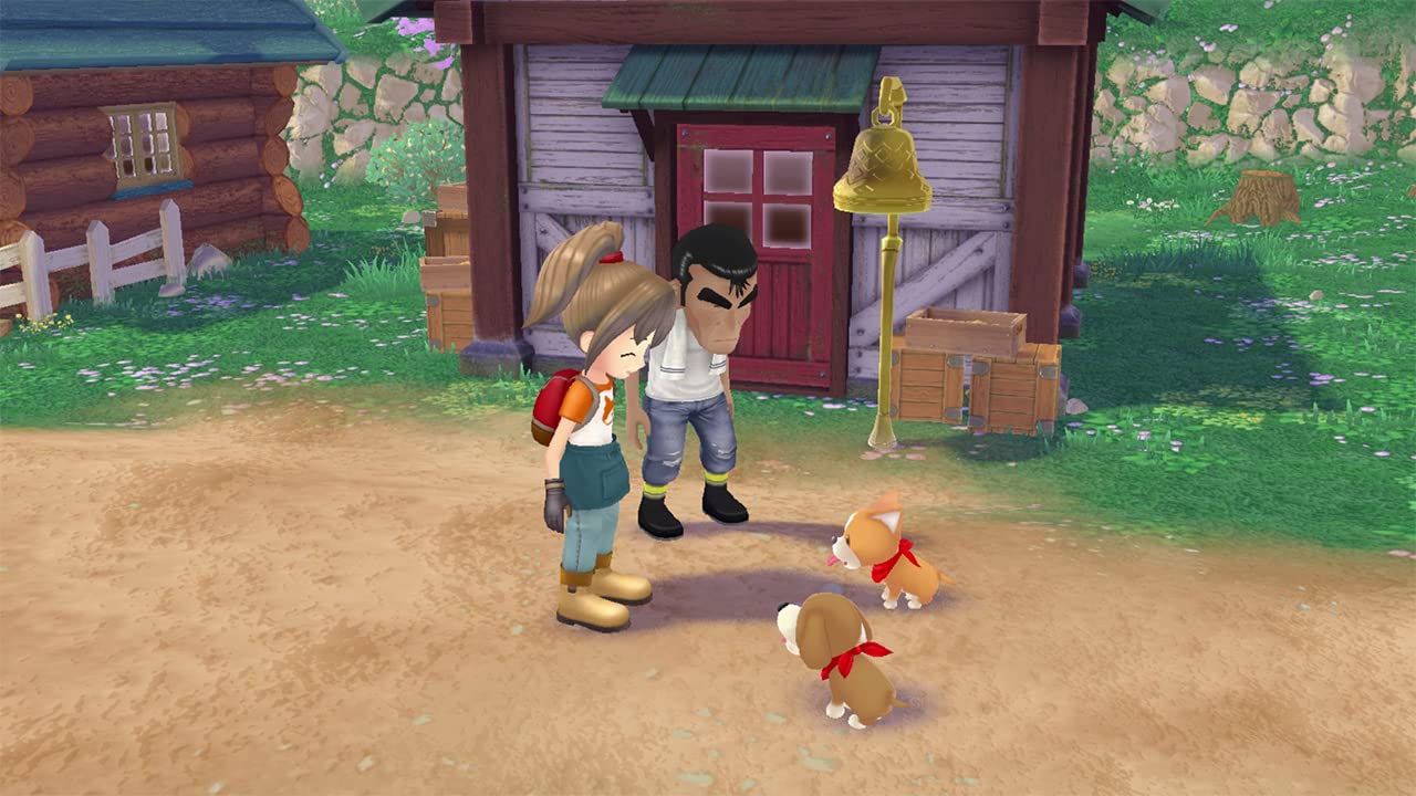Story of Seasons: A Wonderful Life - Farming Simulation Game for Nintendo Switch - Perfect for Relaxing Gameplay & Family Fun