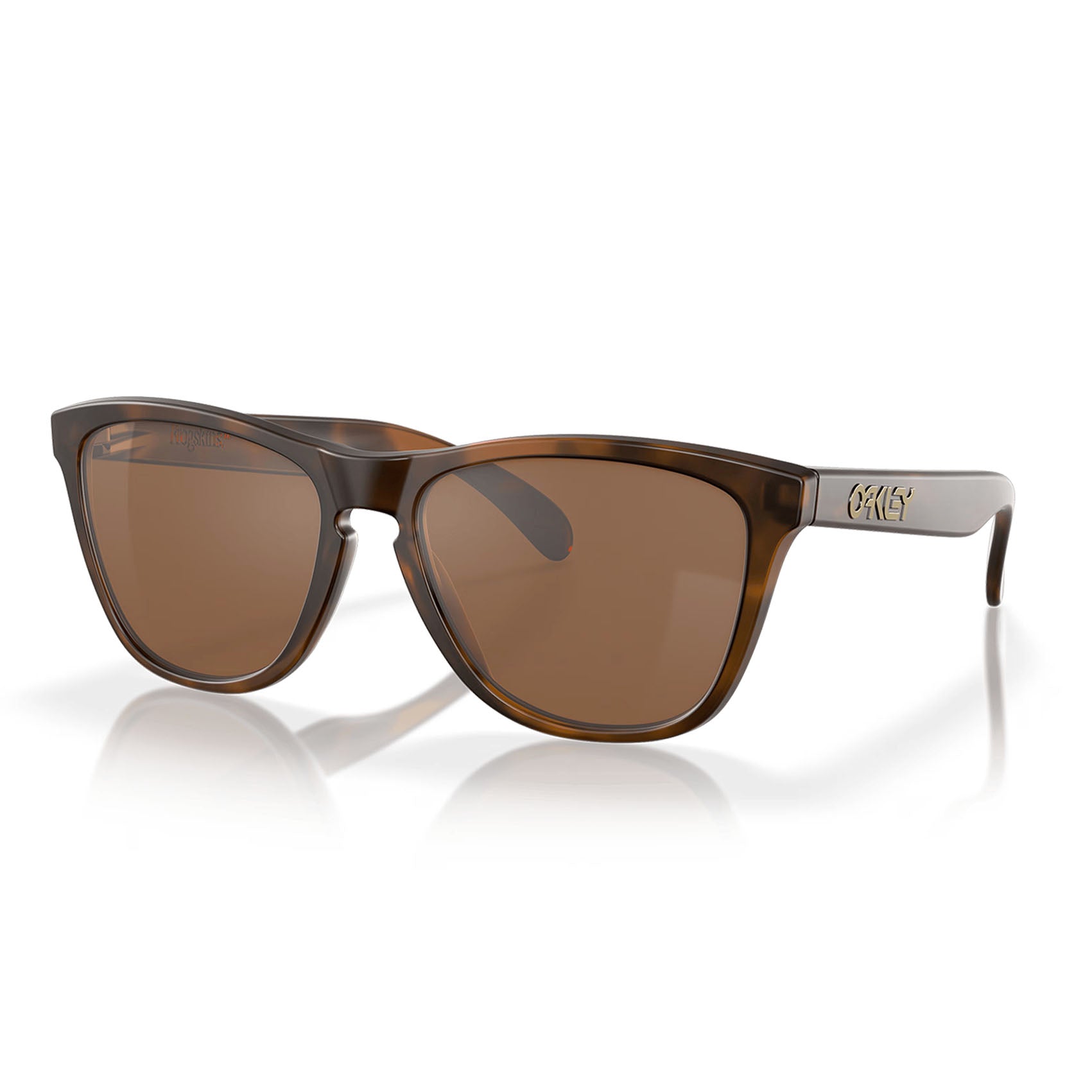Matte Brown Tortoise / Prizm Tungsten