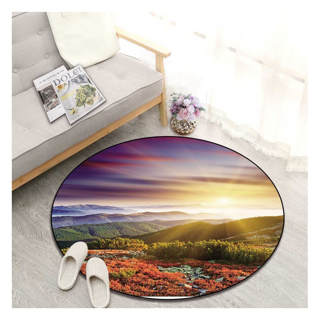 Non-Slip Round Area Rug 55