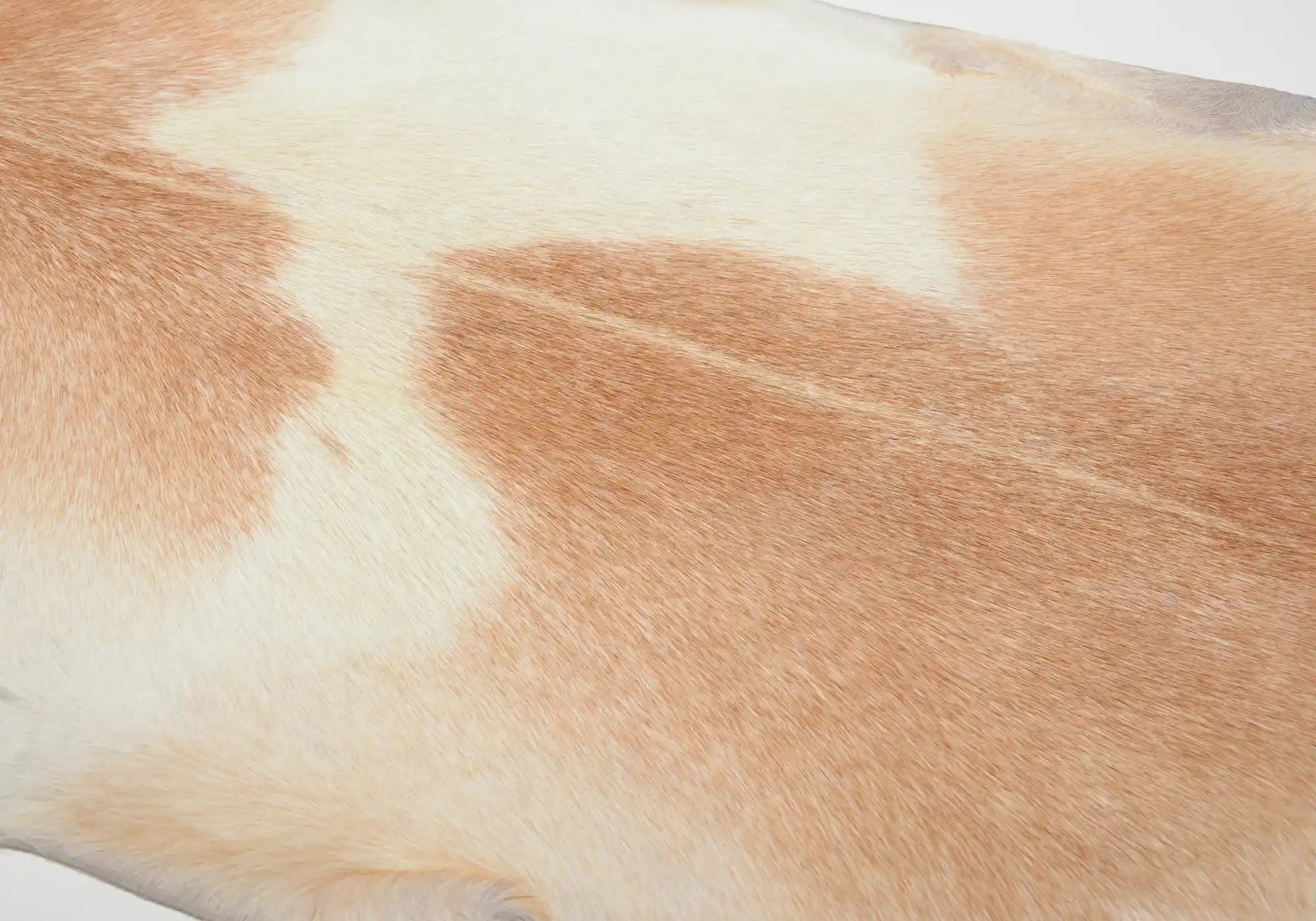 Premium 027 Natural Goat Leather - Light Tan & White Genuine Goat Skin for Handcrafted Bags, Wallets & DIY Projects | Durable & Soft Material for Fashion Accessories & Home Decor