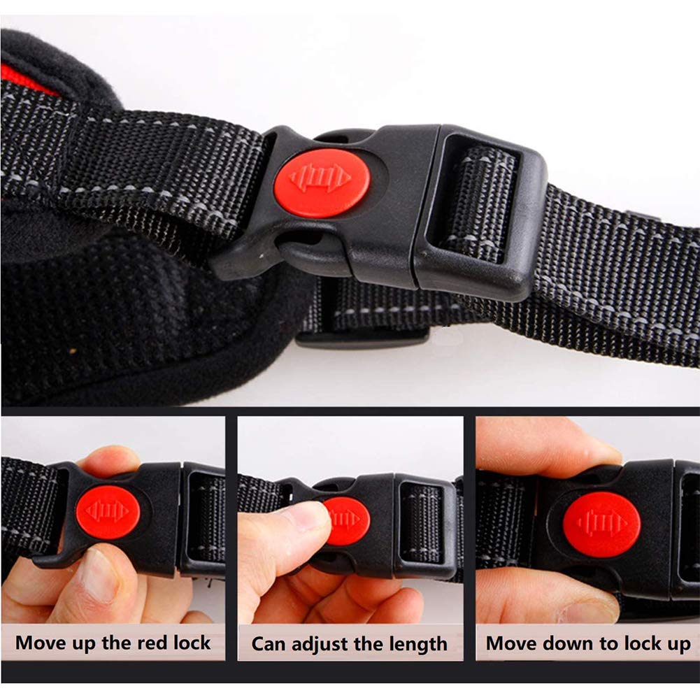 Best No Pull Dog Harness with Handle - Adjustable, Breathable Pet Vest for Small, Medium & Large Dogs - Perfect for Walking, Training & Outdoor Adventures (Includes Free Dog Leash)