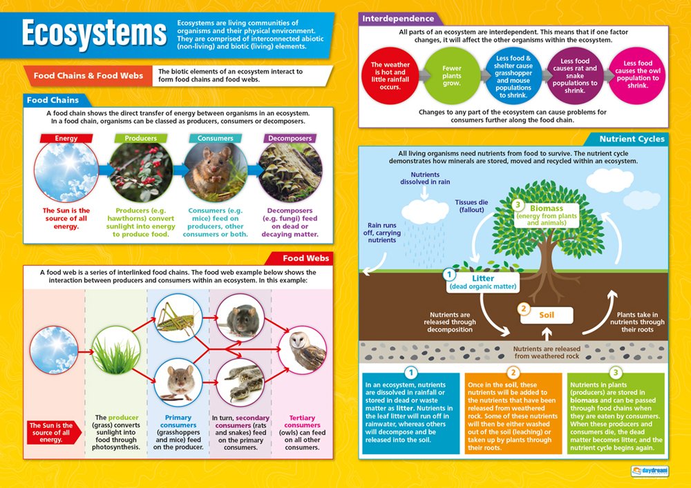 Extra Large 33x23.5 Inch Ecosystems Geography Poster - Glossy Paper Educational Wall Chart for Middle & High School Classrooms - Daydream Education - Perfect for Science Class Decor & Homeschool Learning