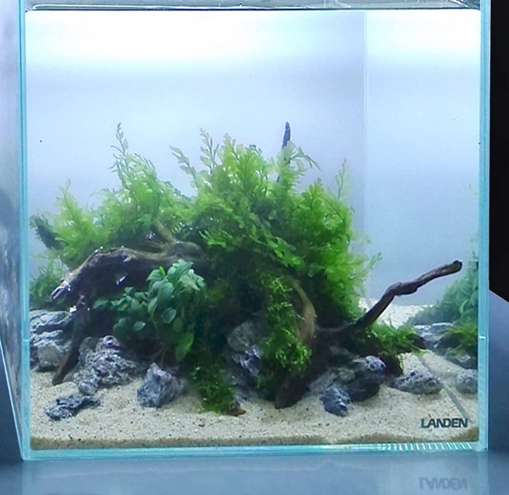 LANDEN Namale Aquarium Sand 2L (7 lbs) - Natural Fine Grain River Sand for Freshwater & Blackwater Biotope Tanks | Perfect for Aquascaping, Planted Tanks & Fish Habitat | Creates Stunning Underwater Landscapes for Shrimp, Betta & Tropical Fish
