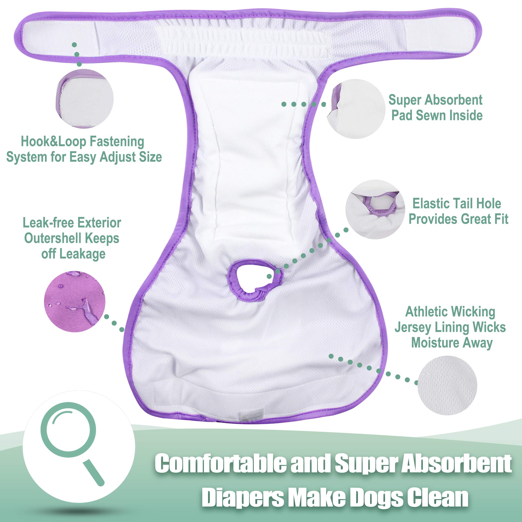 Wegreeco Washable Reusable Premium Female Dog Diapers - Small, Medium & Large Sizes | 3-Pack Absorbent Puppy Diapers for In-Heat Dogs | Perfect for House Training, Travel & Nighttime Protection (Small)