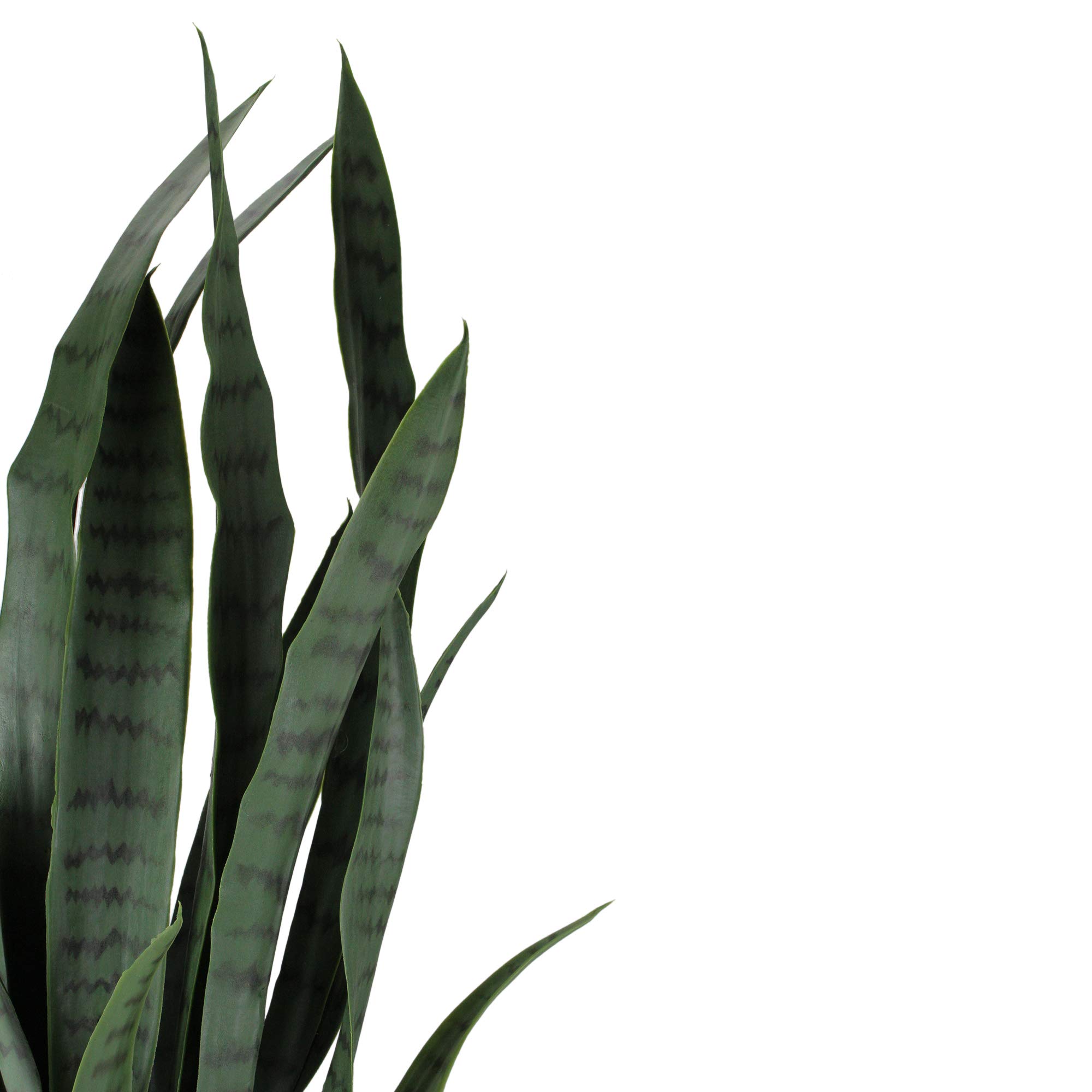 Real Touch™ Artificial Two Tone Potted Snake Plant - 29
