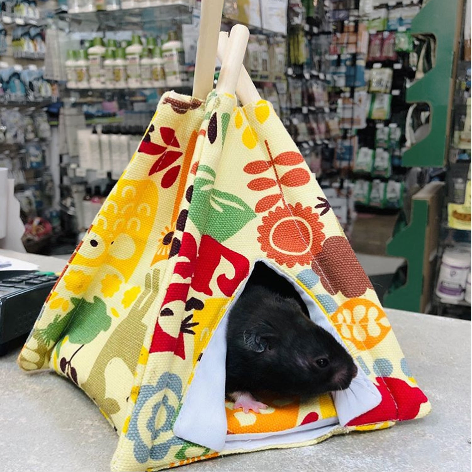 Kids Teepee Tent - Play Tent for Children's Room, Nursery, or Outdoor Play - Perfect for Indoor Playhouse, Reading Nook, and Imaginative Play