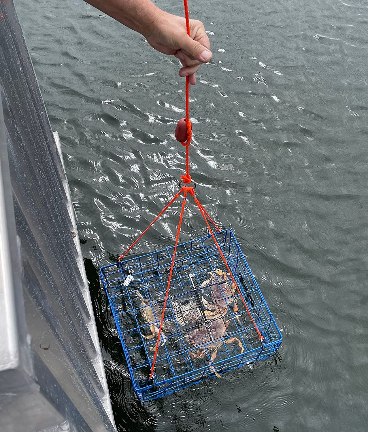 AirFly 4 Arm Crab Trap Harness with 304 Stainless Steel Hooks & Buoy Float - Durable Saltwater Fishing Gear for Crabbing, Lobstering & Shellfish Trapping