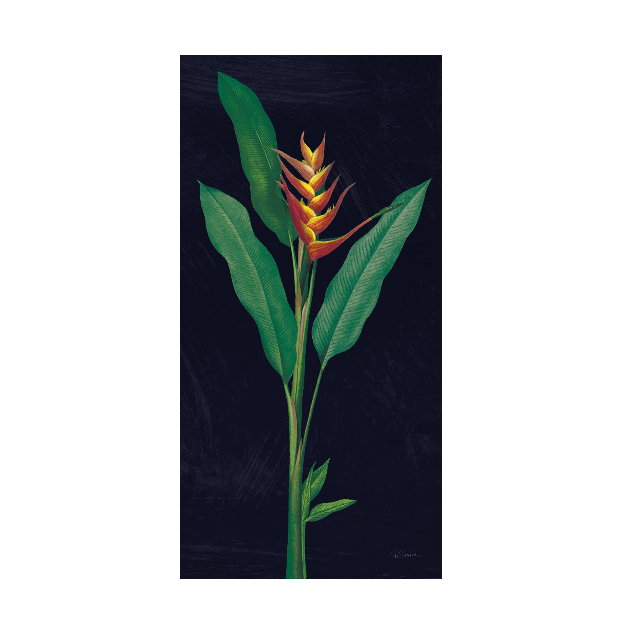 Dramatic Tropical IV Canvas Wall Art by Sue Schlabach - Vibrant Beach & Palm Tree Painting for Living Room, Bedroom & Office Decor