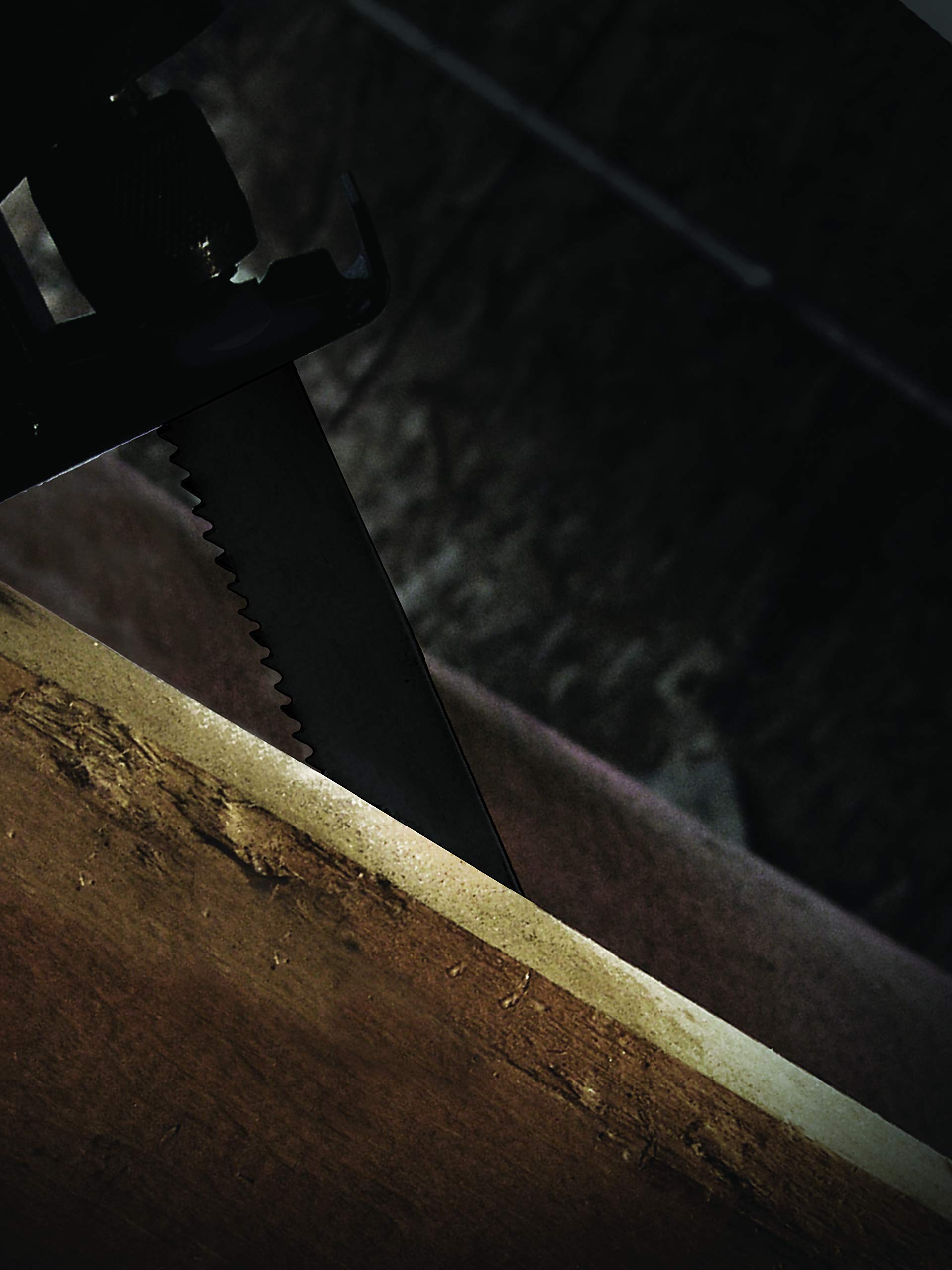 Century Drill & Tool 7809 9-Inch Carbon Alloy Reciprocating Saw Blade with 6 Teeth - Ideal for Wood, Metal & Demolition Cutting Projects