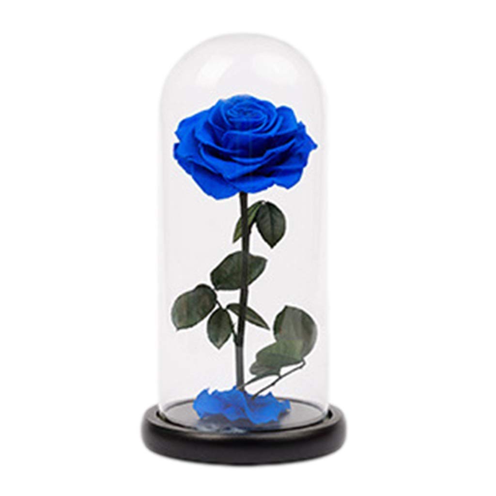 Beauty and The Beast Rose Eternal Flower Preserved in Glass Dome - Blue Romantic Gift for Valentine's Day, Christmas, Mother's Day & Birthday - Perfect for Disney Fans, Home Decor & Special Occasions