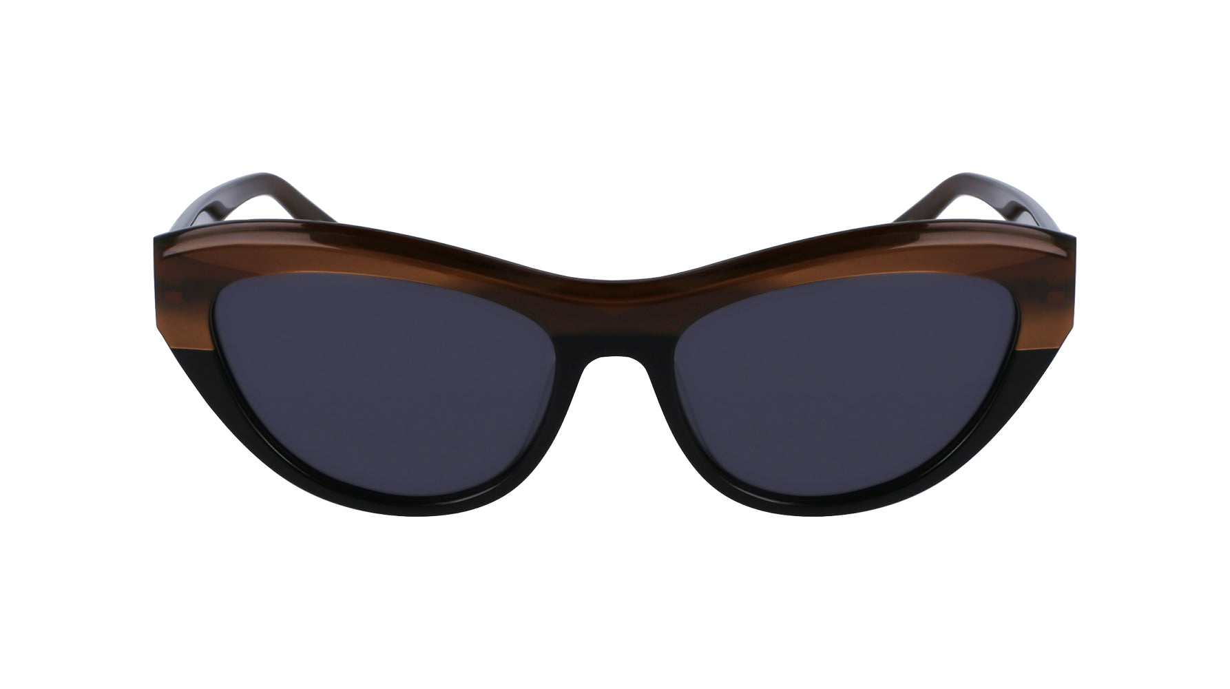 Ferragamo SF1103S Sunglasses for Women - Luxury Designer Shades with UV Protection - Perfect for Outdoor Activities, Travel, and Fashion Accessories