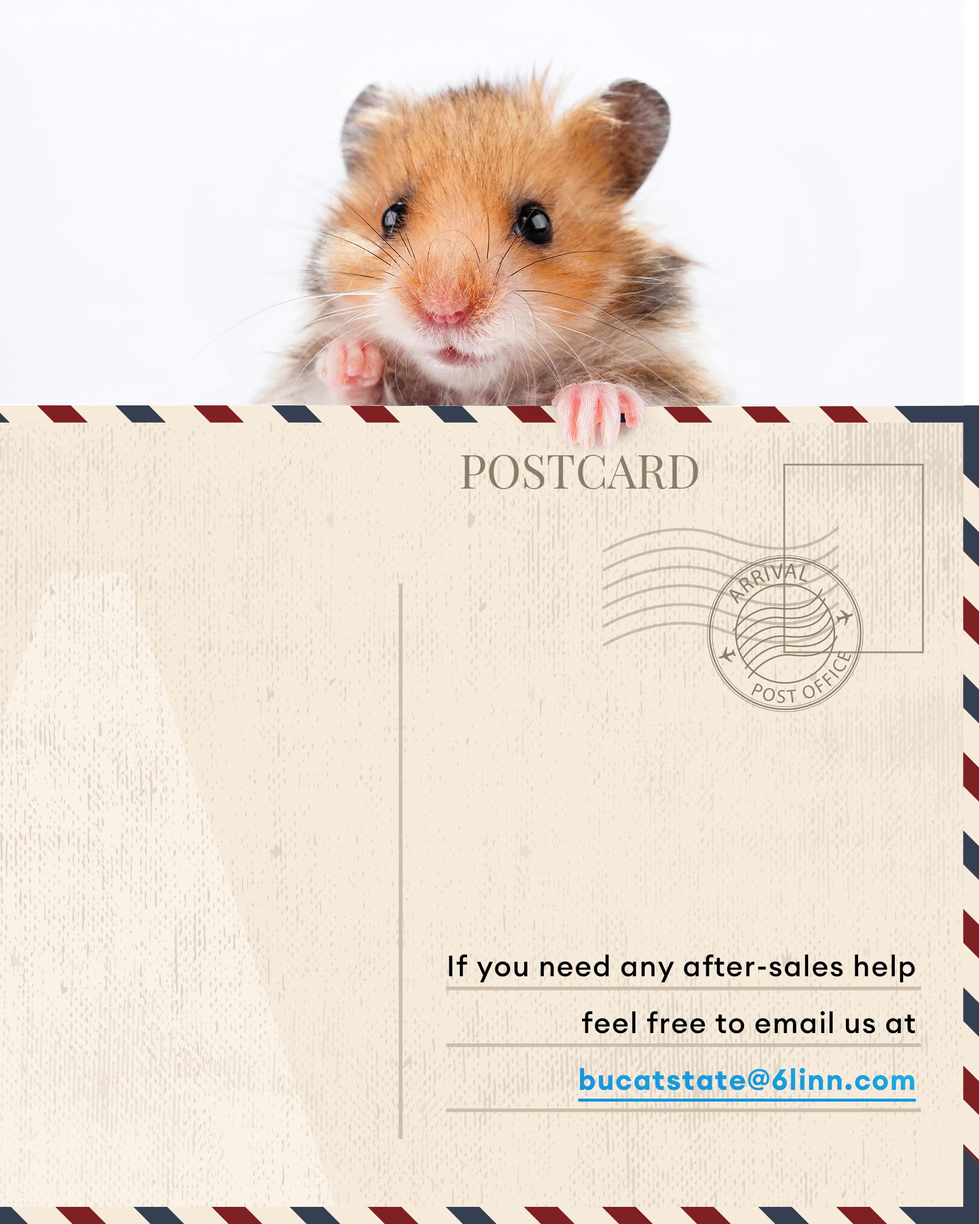 BUCATSTATE Large Metal Hamster Cage 47