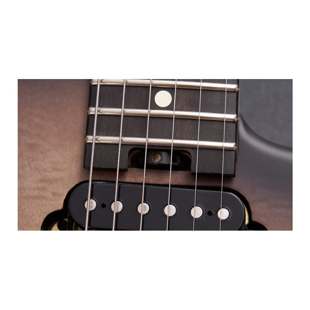 EVH 5150 Series Deluxe Poplar Burl Electric Guitar - Black Burst Finish | Professional Rock & Metal Performance Guitar for Stage & Studio