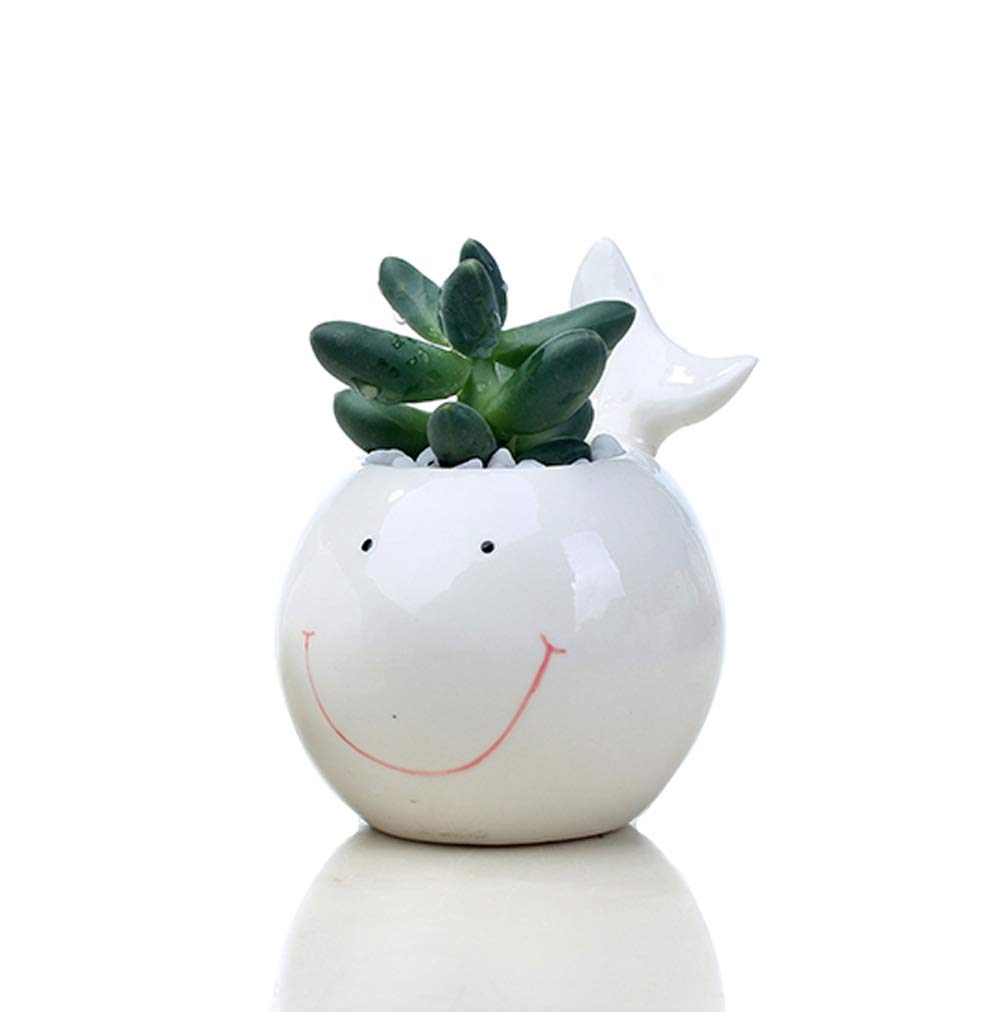Ceramic Flower Pot with Dolphin Design - White Succulent Planter & Vase for Indoor Plants, Home Decor, Office Desk, and Garden Decorations