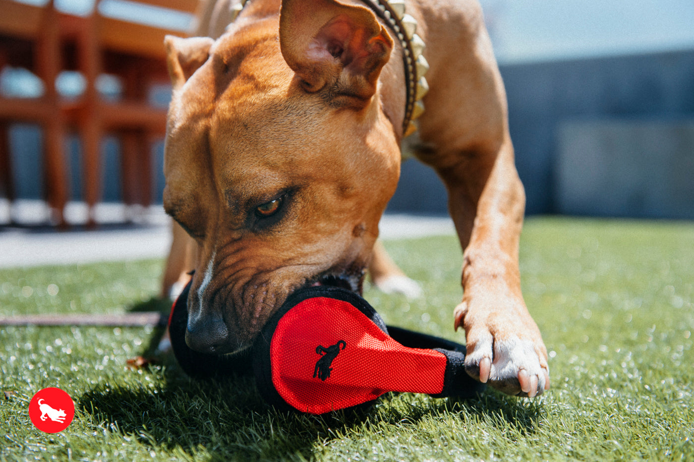 Globetrotter Plush Dog Toy with Squeaker - Soft & Durable Chew Toy for Small & Large Dogs | Perfect for Playtime, Training & Travel | Pet P.L.A.Y.