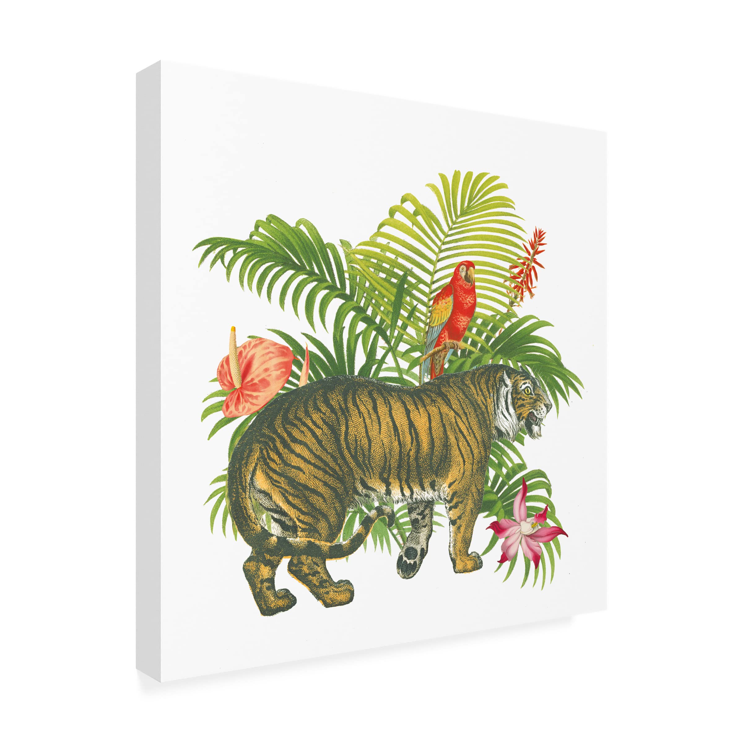 Danhui Nai 'Bird of Paradise I' Canvas Wall Art Print - Tropical Floral Home Decor for Living Room, Bedroom & Office