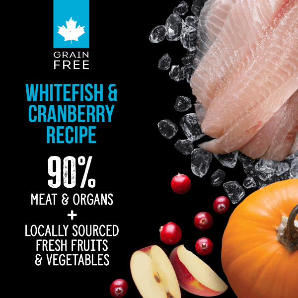 Nutrience SubZero Freeze-Dried Raw Whitefish & Cranberry Cat Food - Grain-Free High Protein for Indoor & Outdoor Cats - Perfect for Travel, Training & Treats