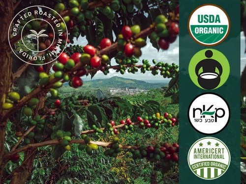 Artizan Coffee USDA Organic Espresso Coffee Capsules for Nespresso Original Machines | 10 Compostable Pods | Rich & Bold Flavor | Perfect for Morning Boost or Afternoon Pick-Me-Up