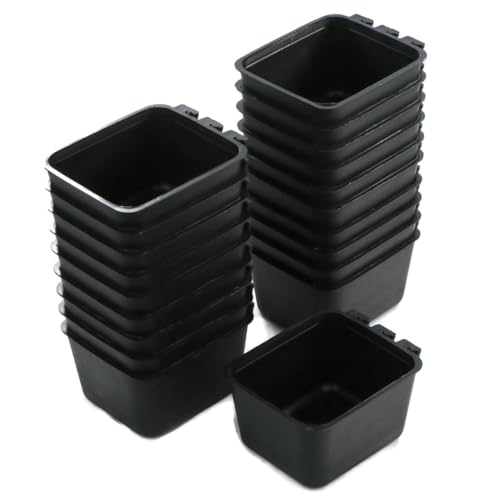 Black (16 fl oz)
