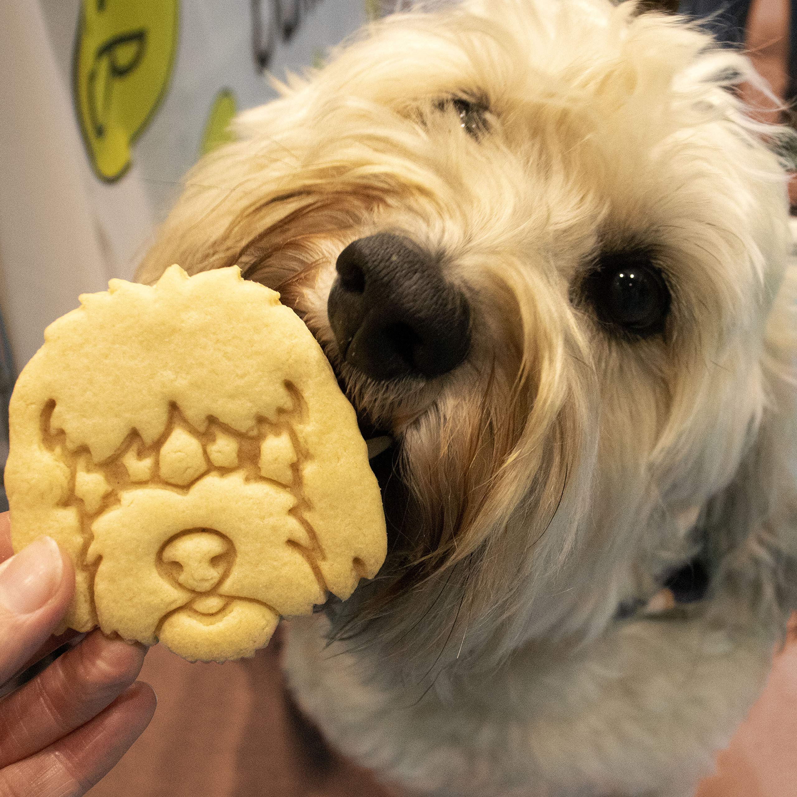 Goldendoodle Face Cookie Cutter - 1 Piece Stainless Steel Dog Shaped Biscuit Mold for Baking | Perfect for Dog Lovers, Birthday Parties & Holiday Treats