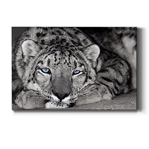 Snow Leopard Sanctuary