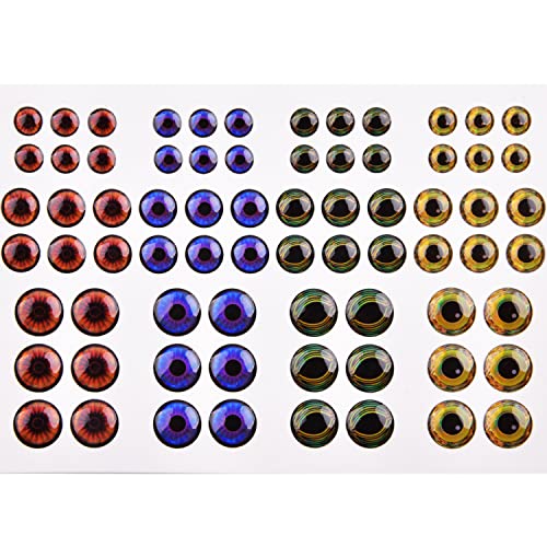 5d