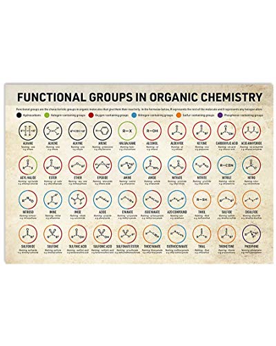 Functional Groups In Organic Chemistry