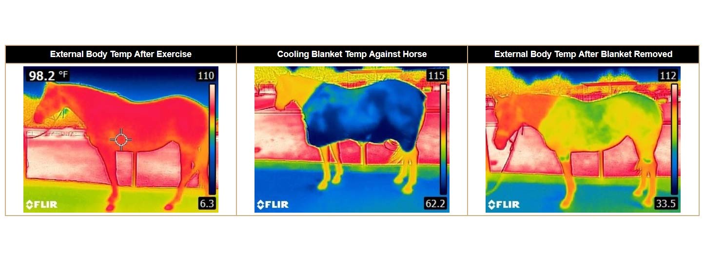 Weaver Leather CoolAid® Horse Cooling Blanket for Hot Weather - Breathable & Quick-Dry Summer Blanket for Horses - Perfect for Training, Riding, and Post-Exercise Cooling
