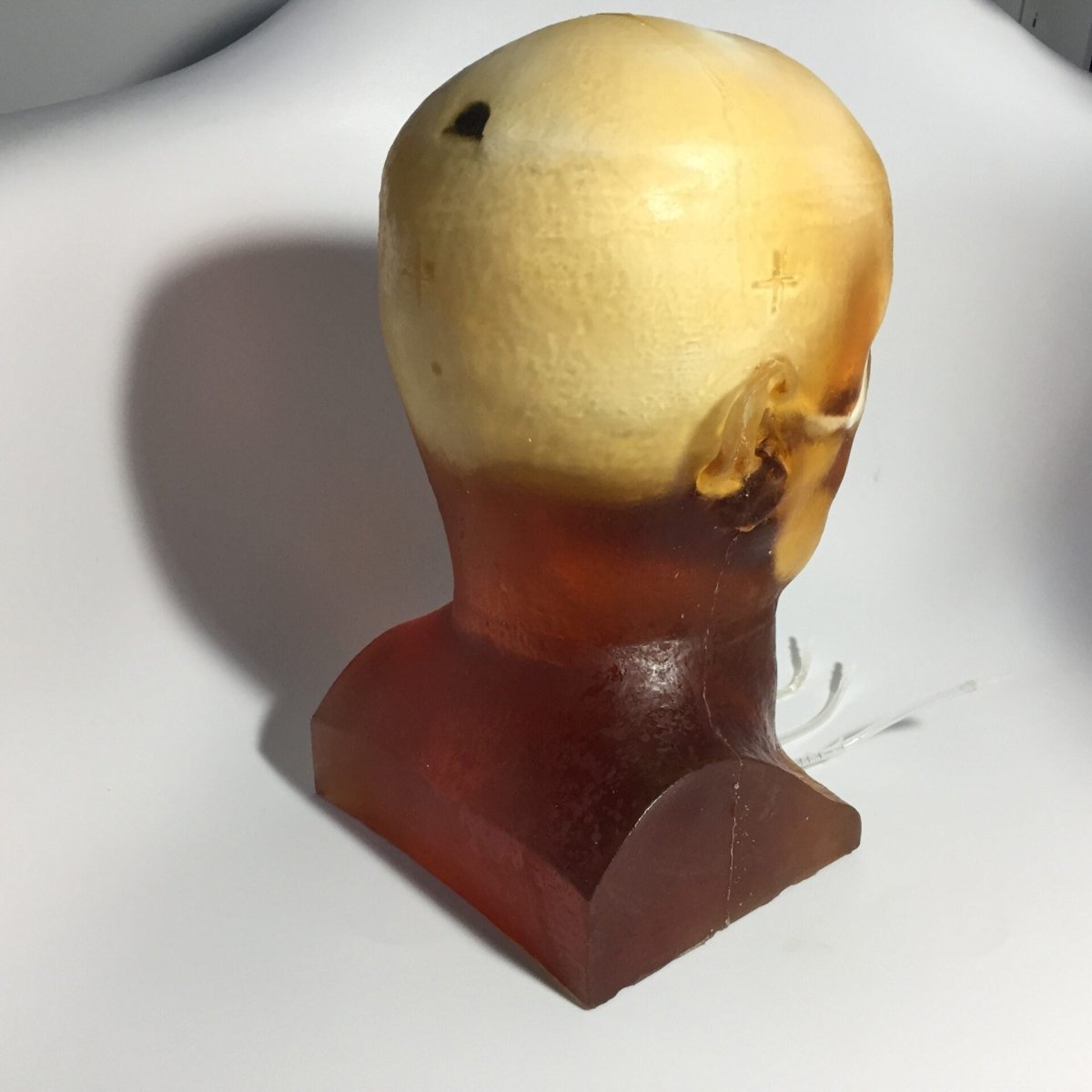 High-Quality Dynamic Adult Head Phantom for Ultrasound, MRI & CT Scans - Perfect for Medical Training & Diagnostic Equipment Testing