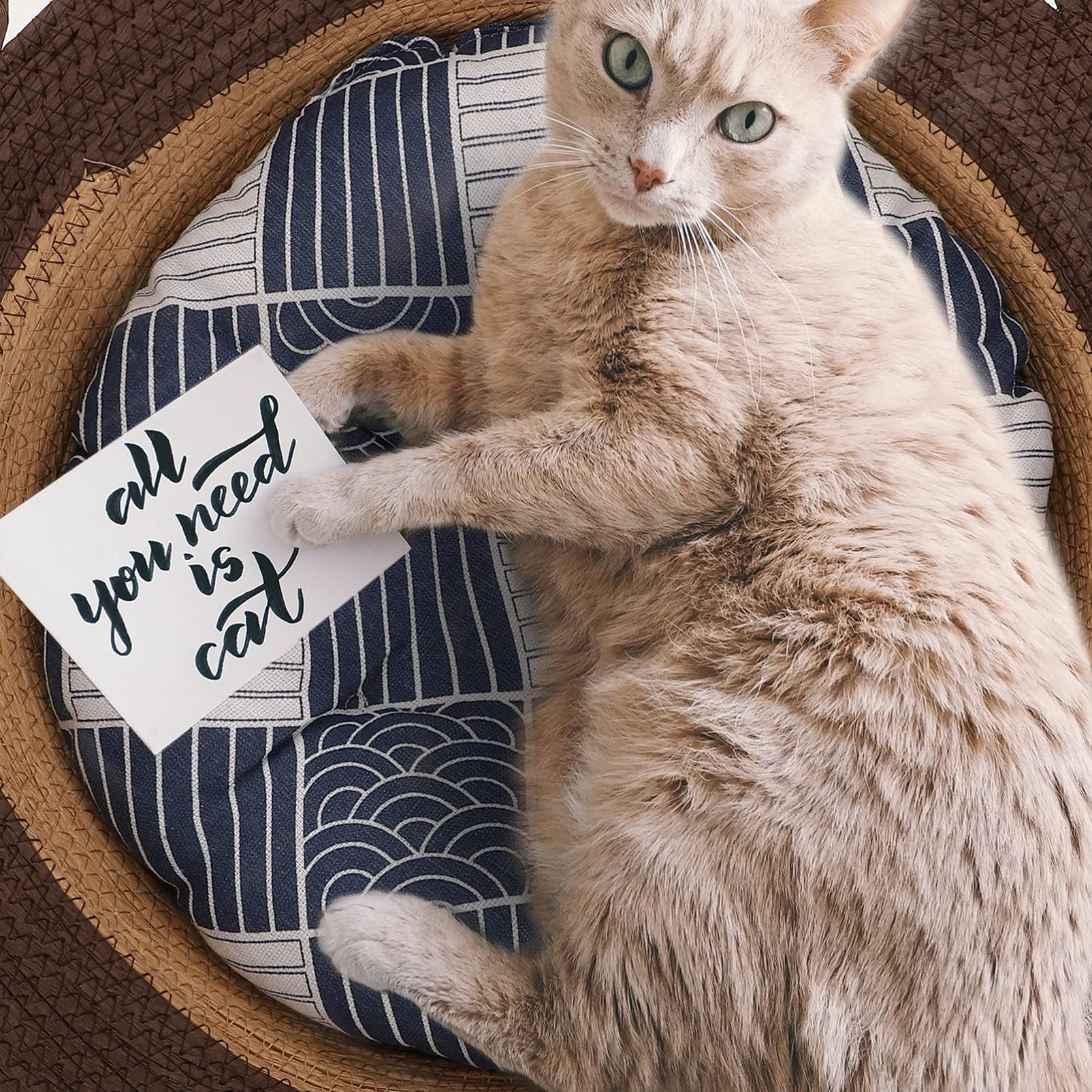 Balacoo 1PC Rattan Woven Pet Bed - Breathable Cat Nest, Rabbit Sleeping House & Dog Resting Chair - Natural Wicker Cat Bed & Knitted Dog Cage with Cattail Grass Sofa Design for Indoor/Outdoor Use - Perfect for Living Room, Bedroom or Patio