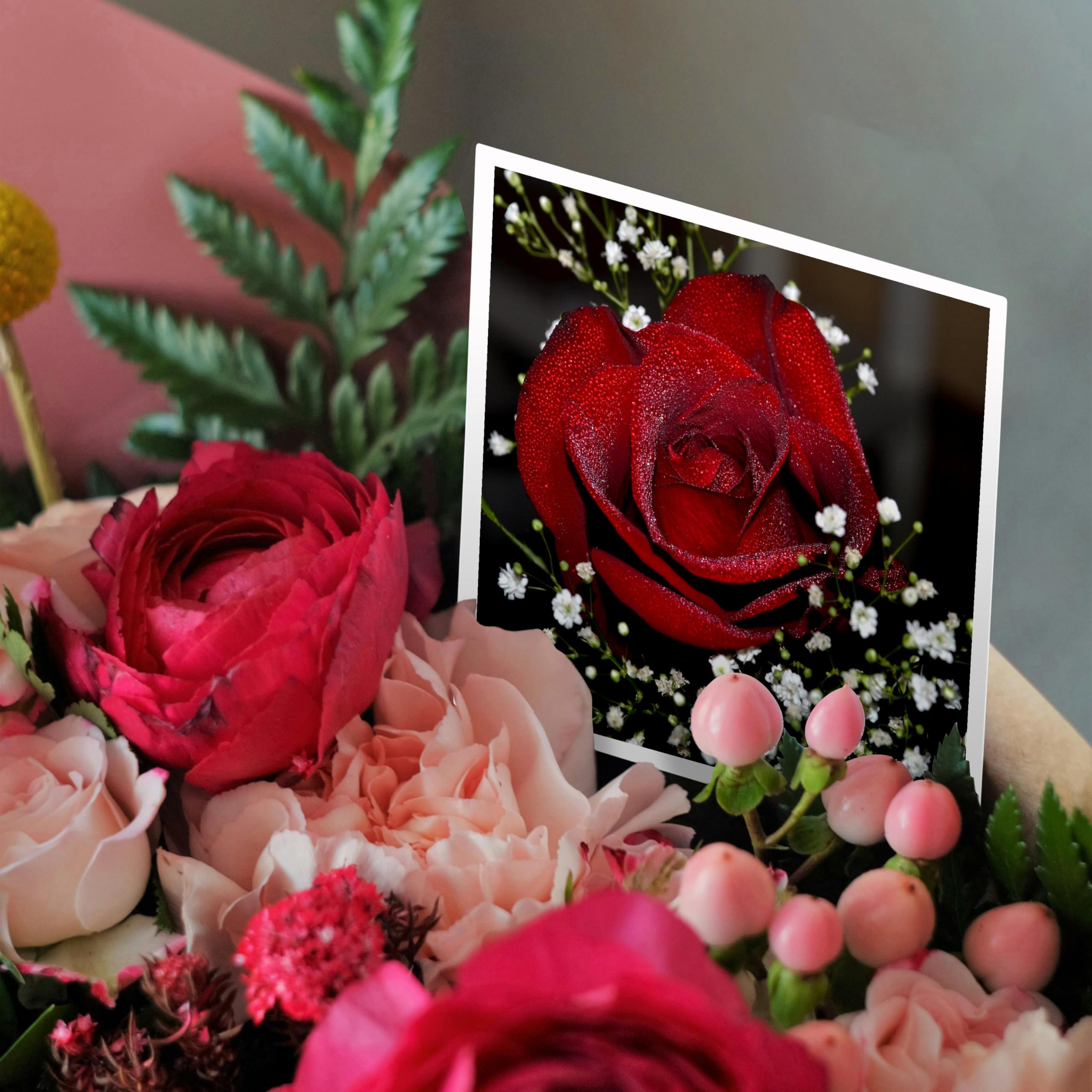 3dRose 009 Red Rose Greeting Cards - Set of 12 (6x6 Inches) | Beautiful Floral Stationery for Birthdays, Anniversaries & Thank You Notes | Perfect for Handwritten Messages & Special Occasions