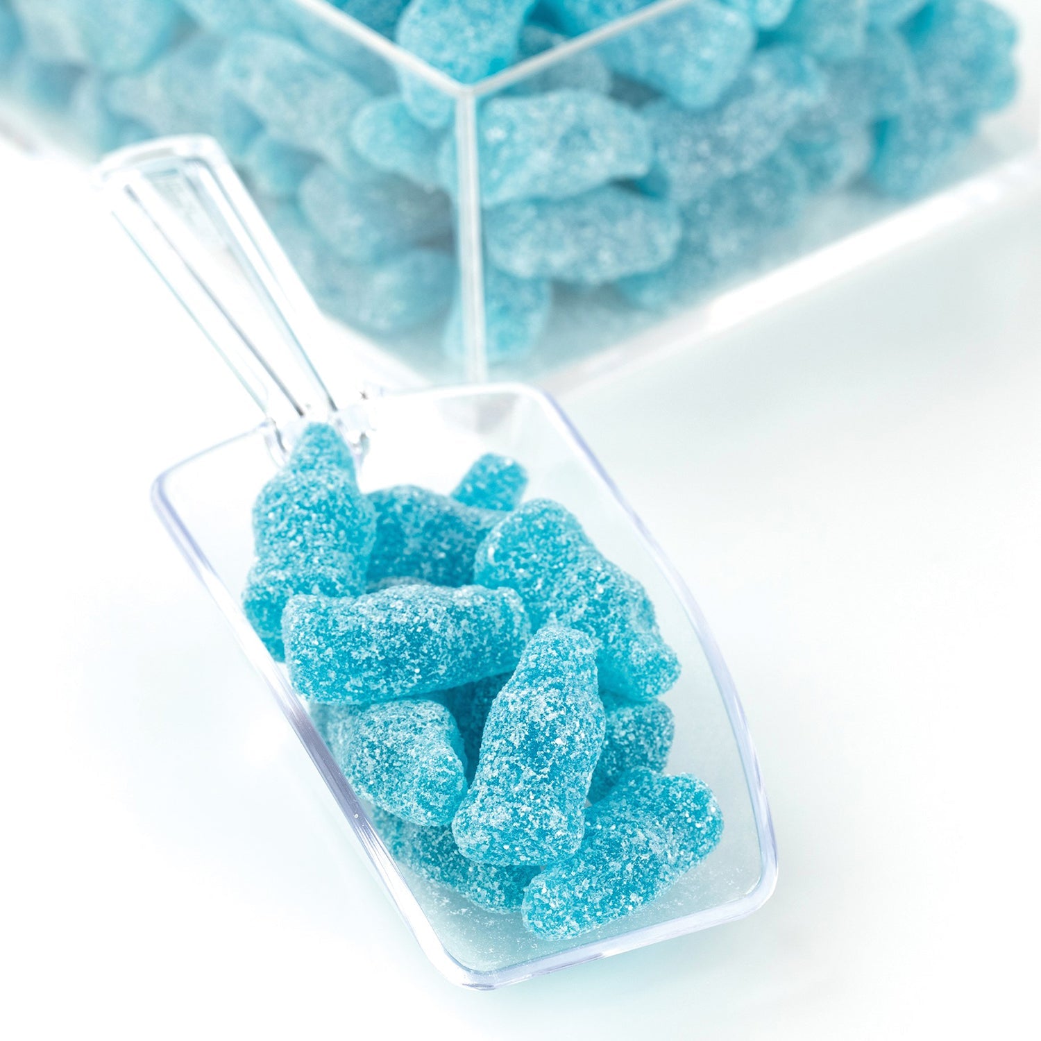 Sour Blue Raspberry Candy by Gustaf's | 2.2lb Resealable Bag - Perfect for Parties, Movie Nights & Office Snacks