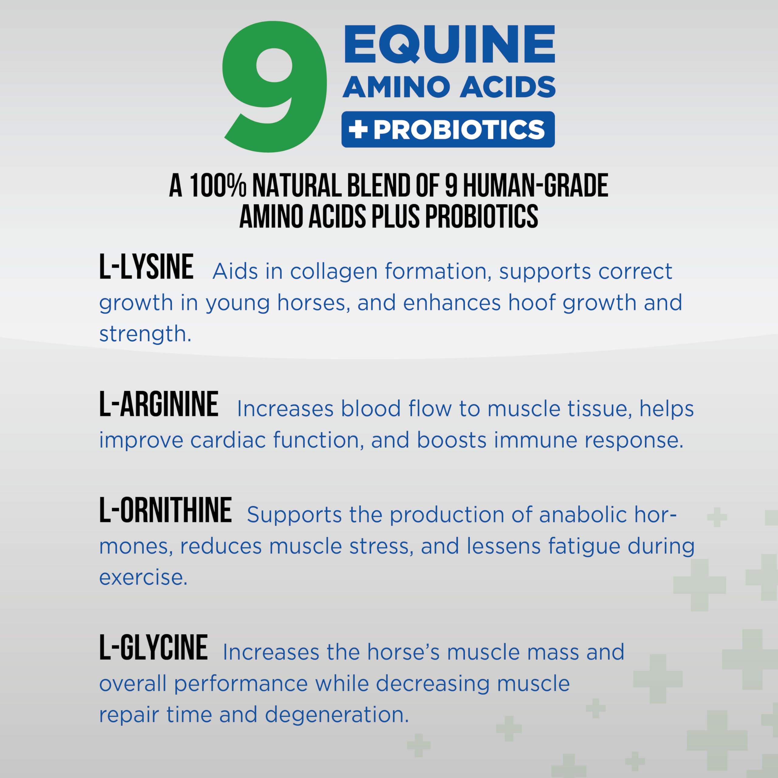 Equine Total Recovery Horse Supplement (620g - 100 Servings) - 9 Essential Amino Acids + Probiotics for Joint Health - Sugar Free, Soy Free, No Fillers - Supports Muscle Recovery & Digestive Health - Ideal for Performance Horses & Senior Equine Care