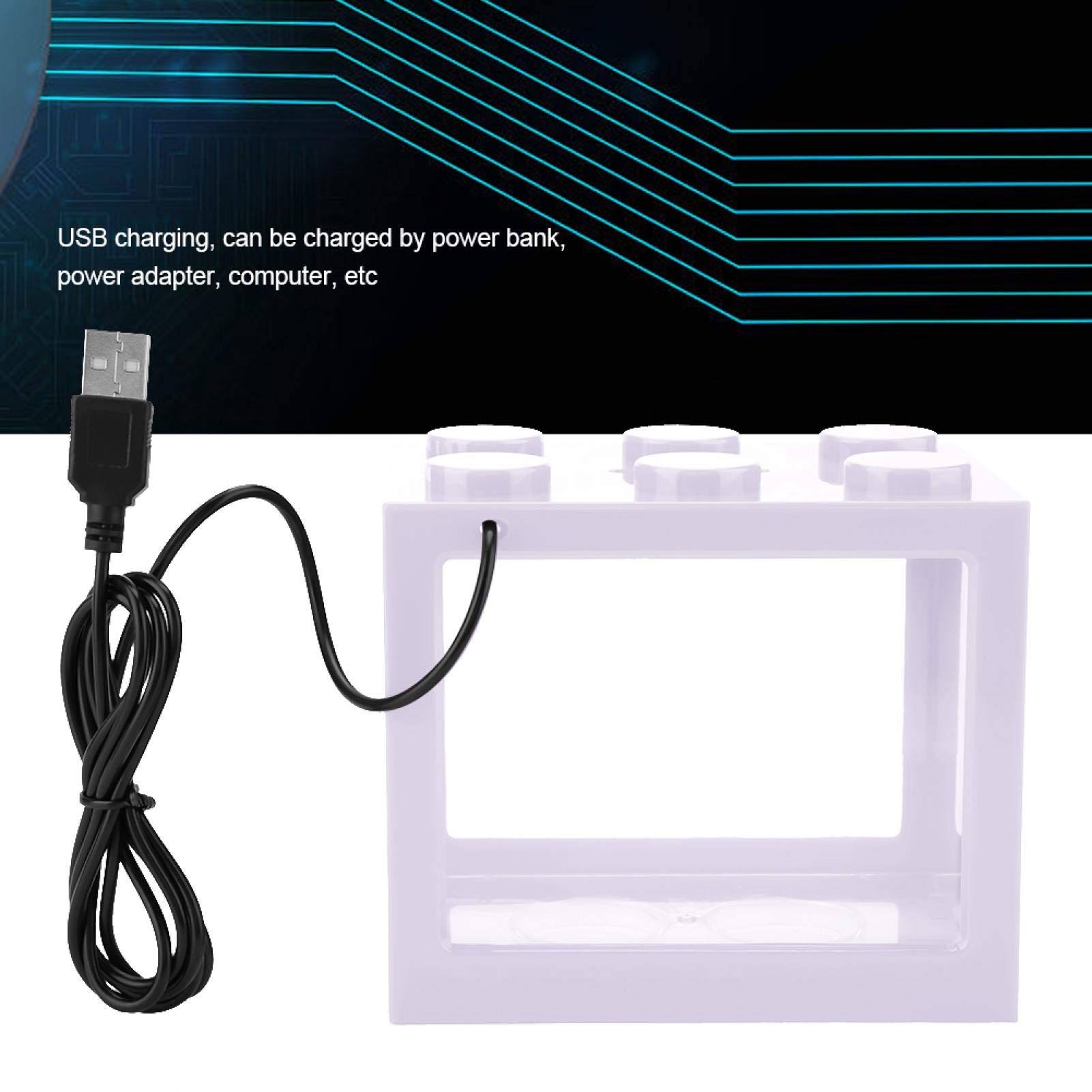 Mini Aquarium for Office - Small Decorative Fish Tank with LED Light, Perfect for Desk Decor, Home & Office Relaxation