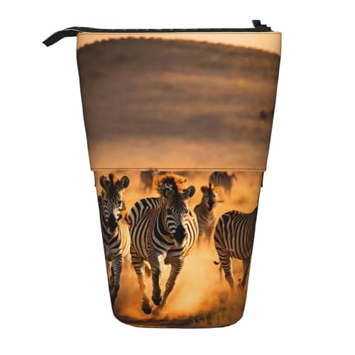 Zebra Animal