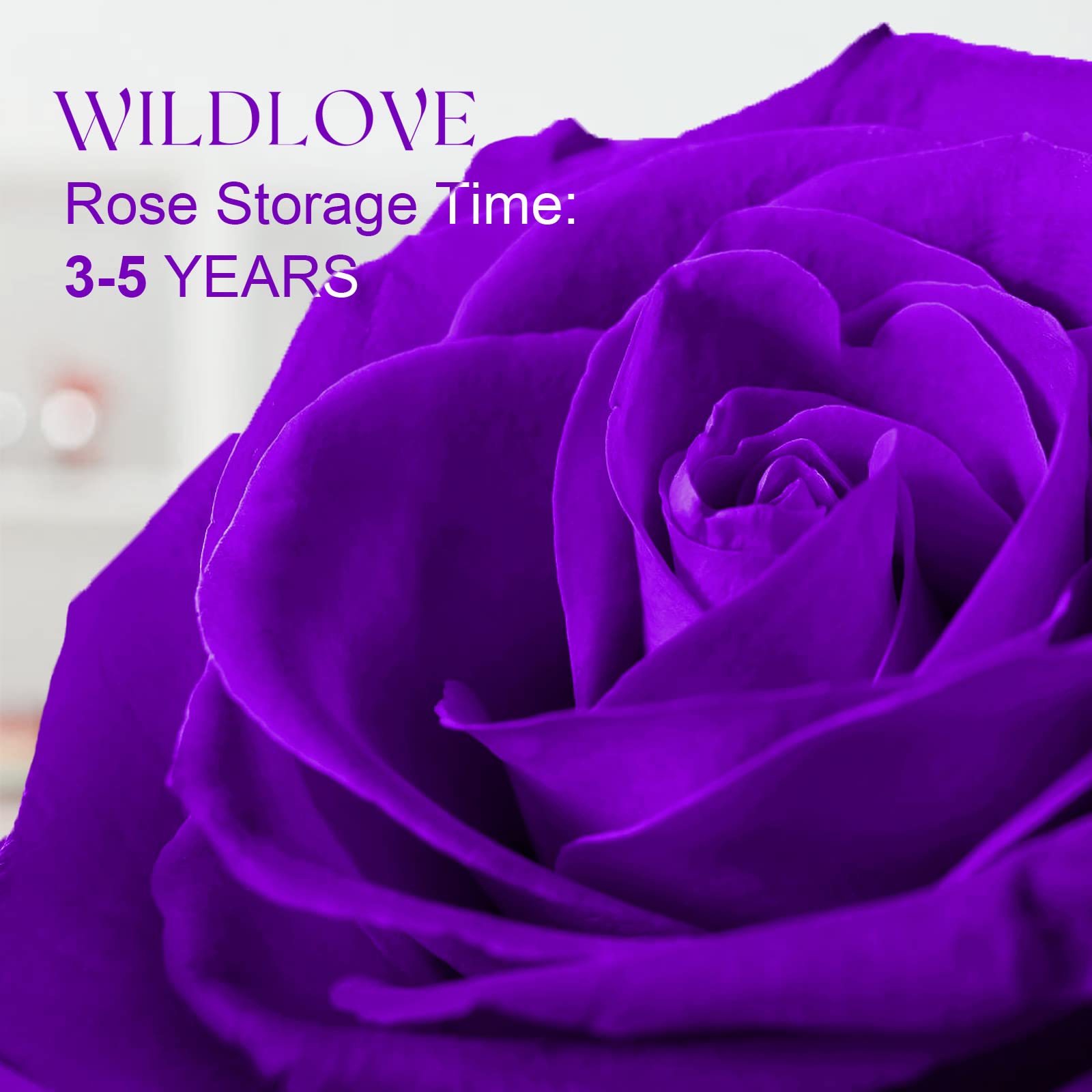 WILDLOVE Preserved Real Rose with 'I Love You' Necklace - Romantic Valentine's Day Gift for Her, Wife, Girlfriend or Mom | Anniversary & Birthday Present for Women | Perfect for Date Nights, Proposals & Special Occasions