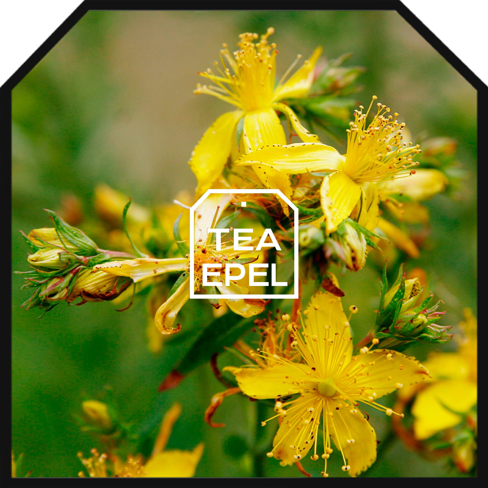 St. John's Wort Herbal Tea 800g - Dried St. John's Wort Flowers - Loose Leaf Herbal Tea for Relaxation & Stress Relief - Perfect for Evening Tea Time & Natural Wellness Routine