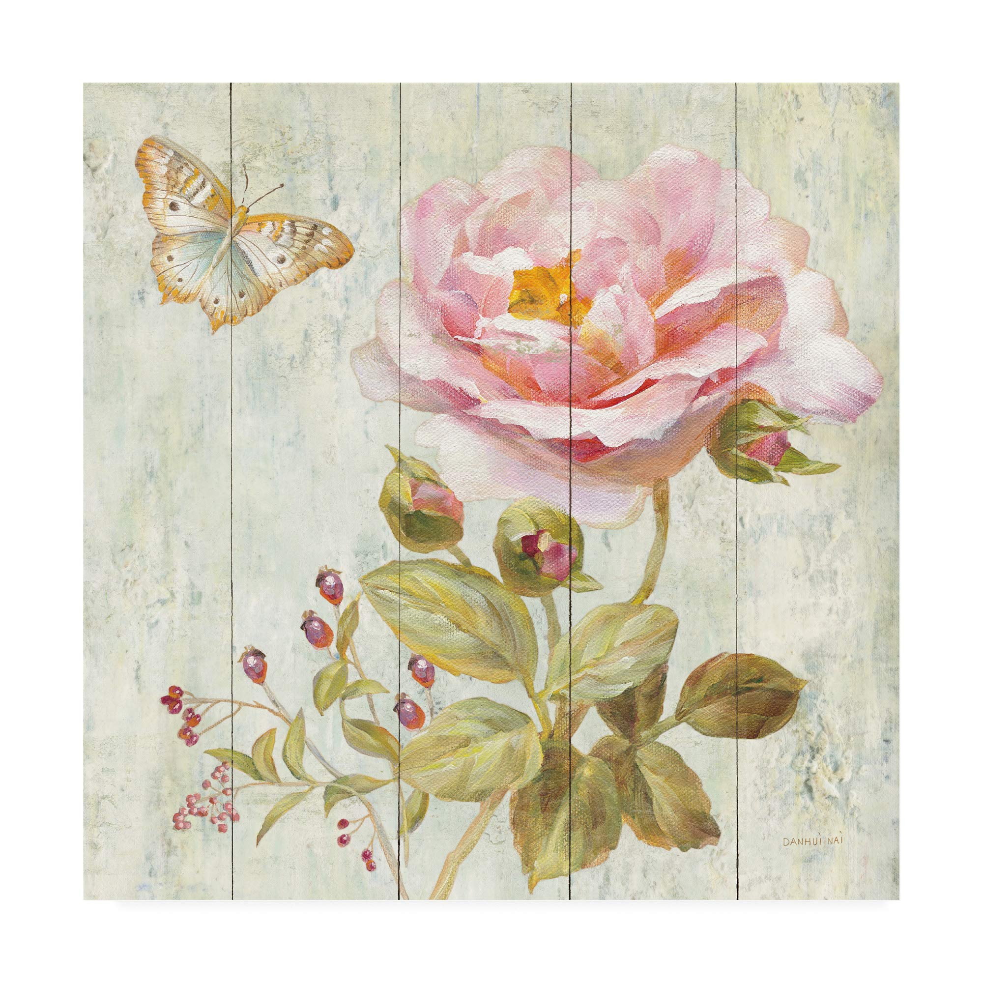 Danhui NAI Natural Flora II Canvas Art Print - 18x18 Inch Wall Decor for Living Room, Bedroom & Office | Trademark Fine Art Collection