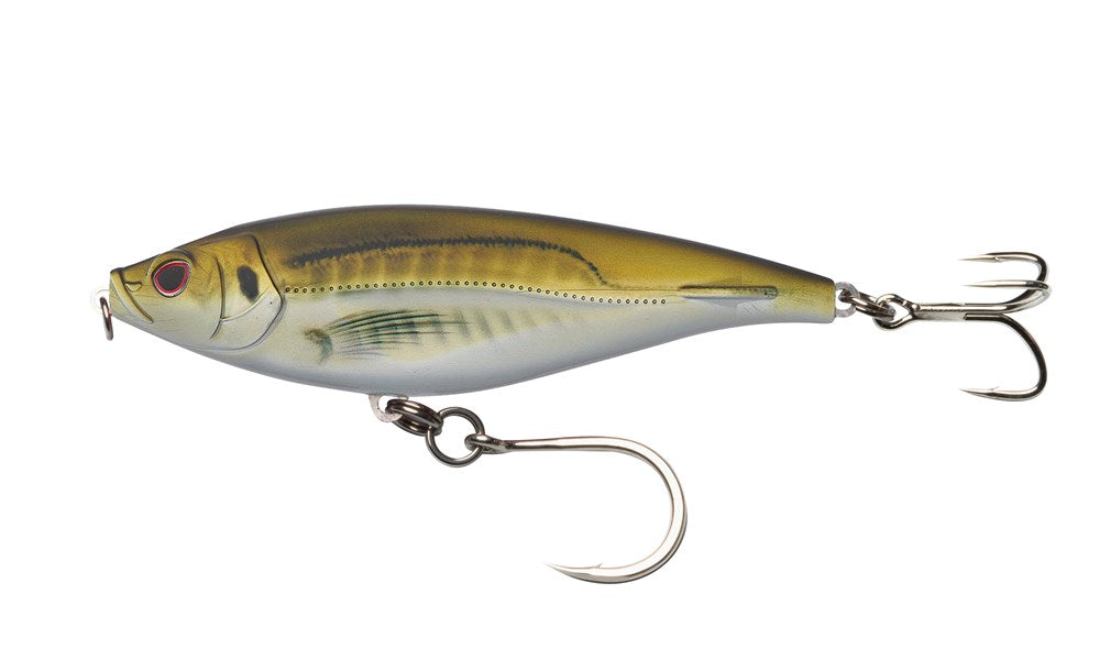 Olive Back Shad