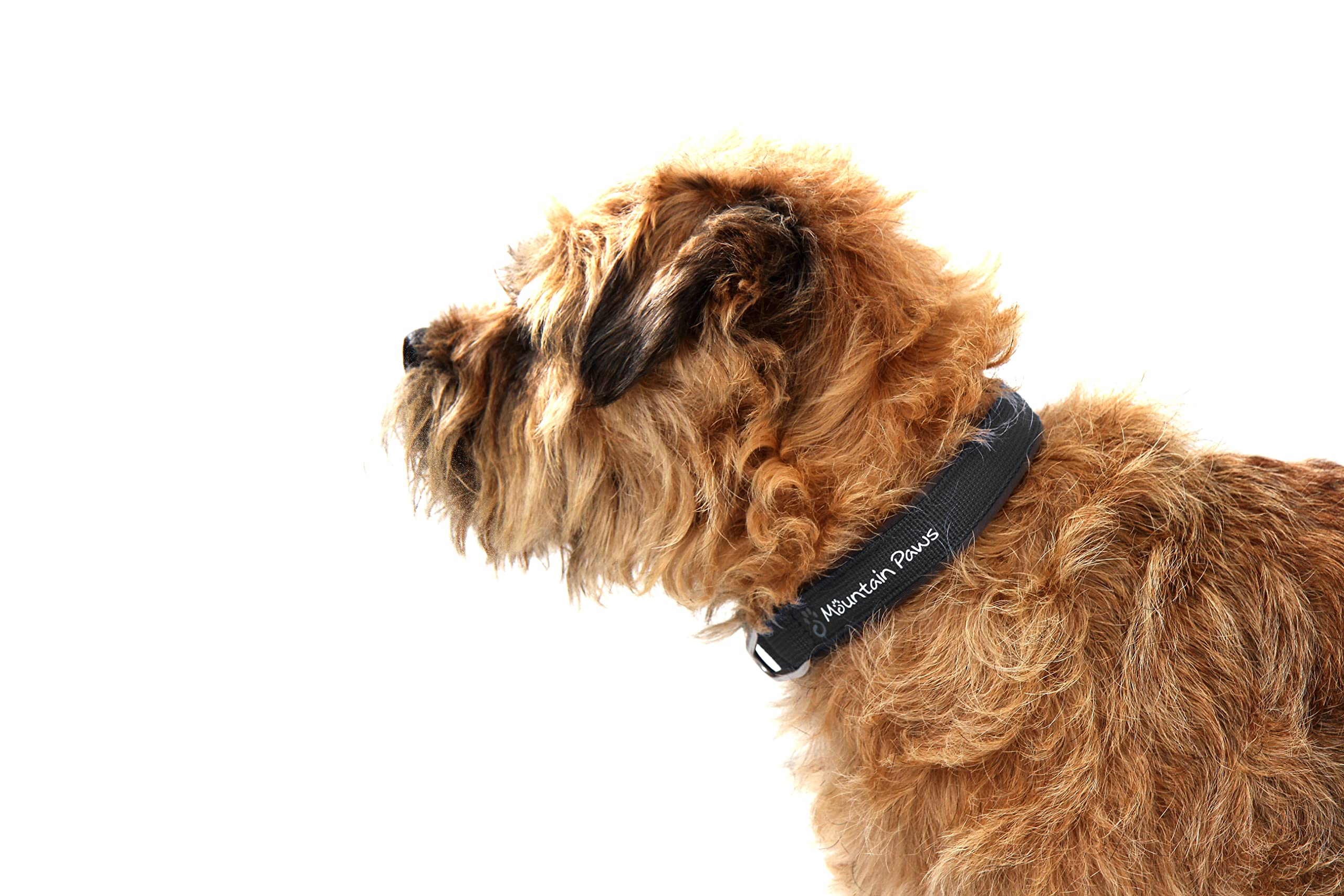 Mountain Paws Small Black Dog Collar for Small Dogs - Durable Nylon Pet Collar with Metal Buckle for Daily Walks, Training & Outdoor Adventures