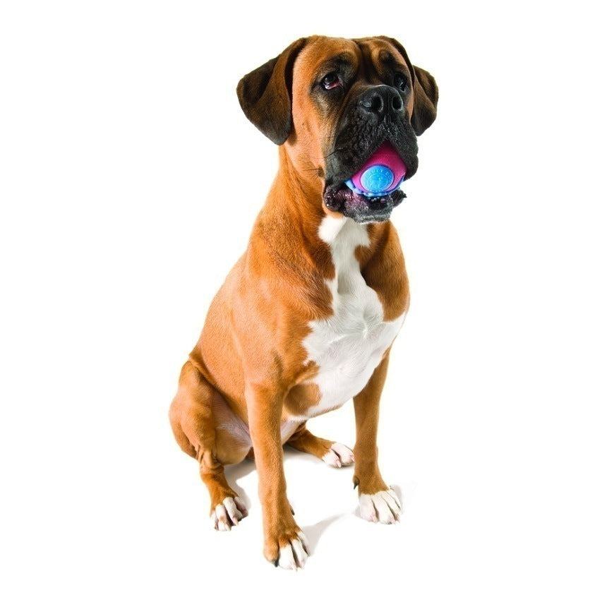 Planet Dog Orbee Ball - Durable Chew Toy for Dogs, Interactive Fetch & Biting Game - Perfect for Indoor & Outdoor Play, Training & Teething Relief