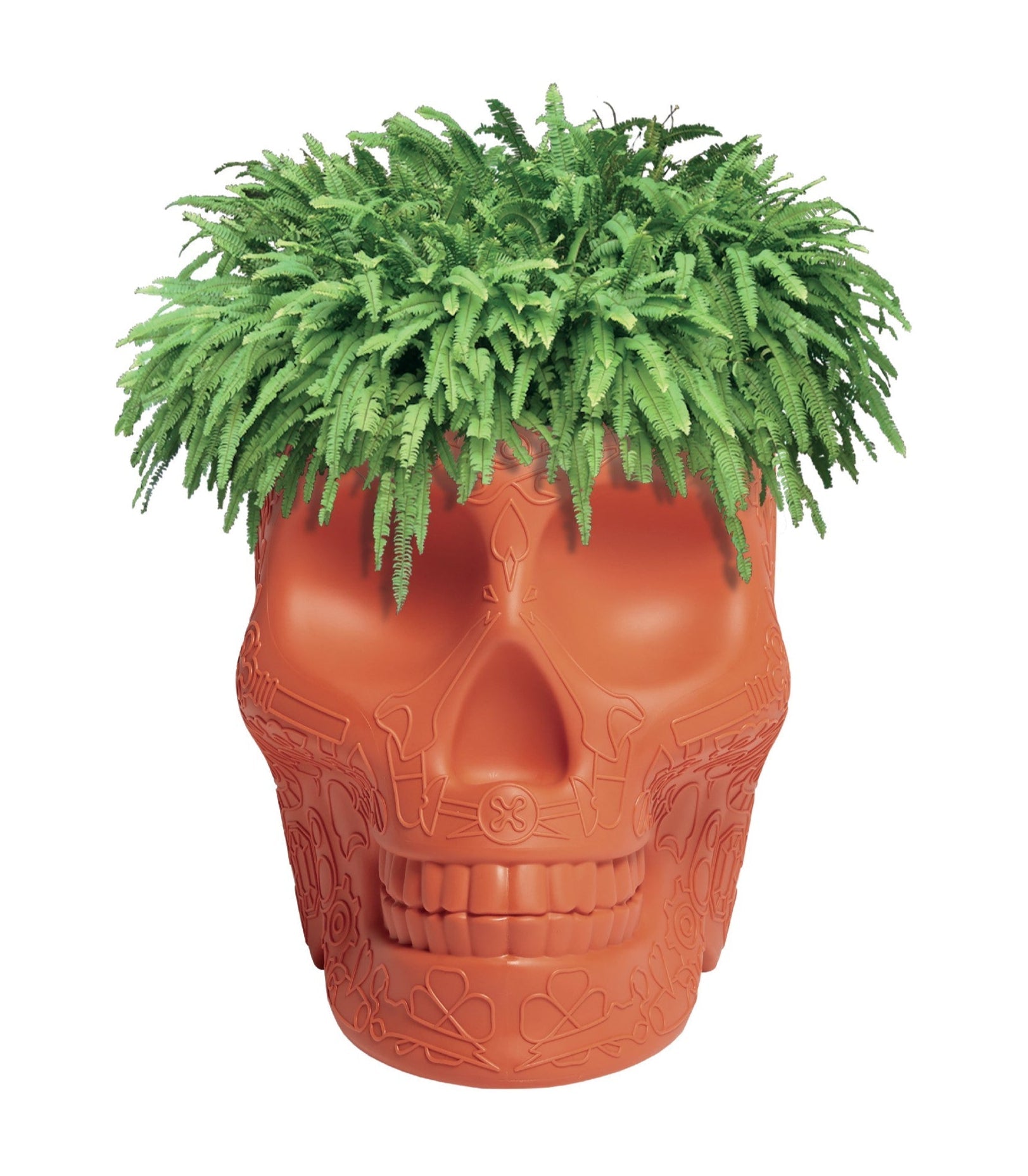 Qeeboo Mexico Planter & Champagne Cooler - Stylish Dual-Purpose Home Decor for Indoor Plants & Wine Chilling | Perfect for Living Room, Patio & Entertaining