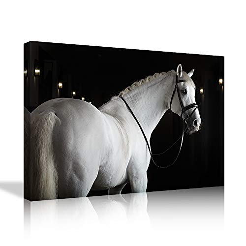 Animal wall art 05