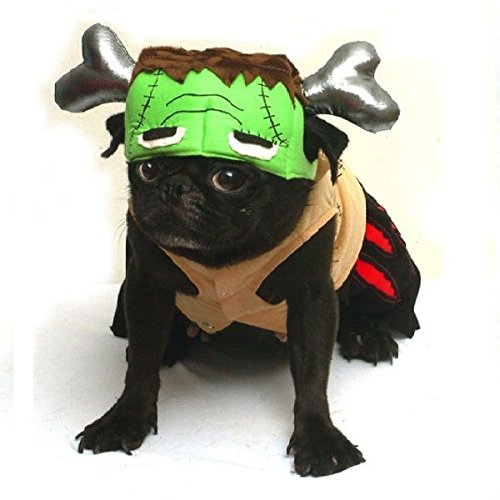 Barkenstein Dog Frankenstein Costume - Green Monster Halloween Pet Apparel for Small Dogs (Size 2) | Perfect for Halloween Parties, Pet Parades & Spooky Photo Shoots