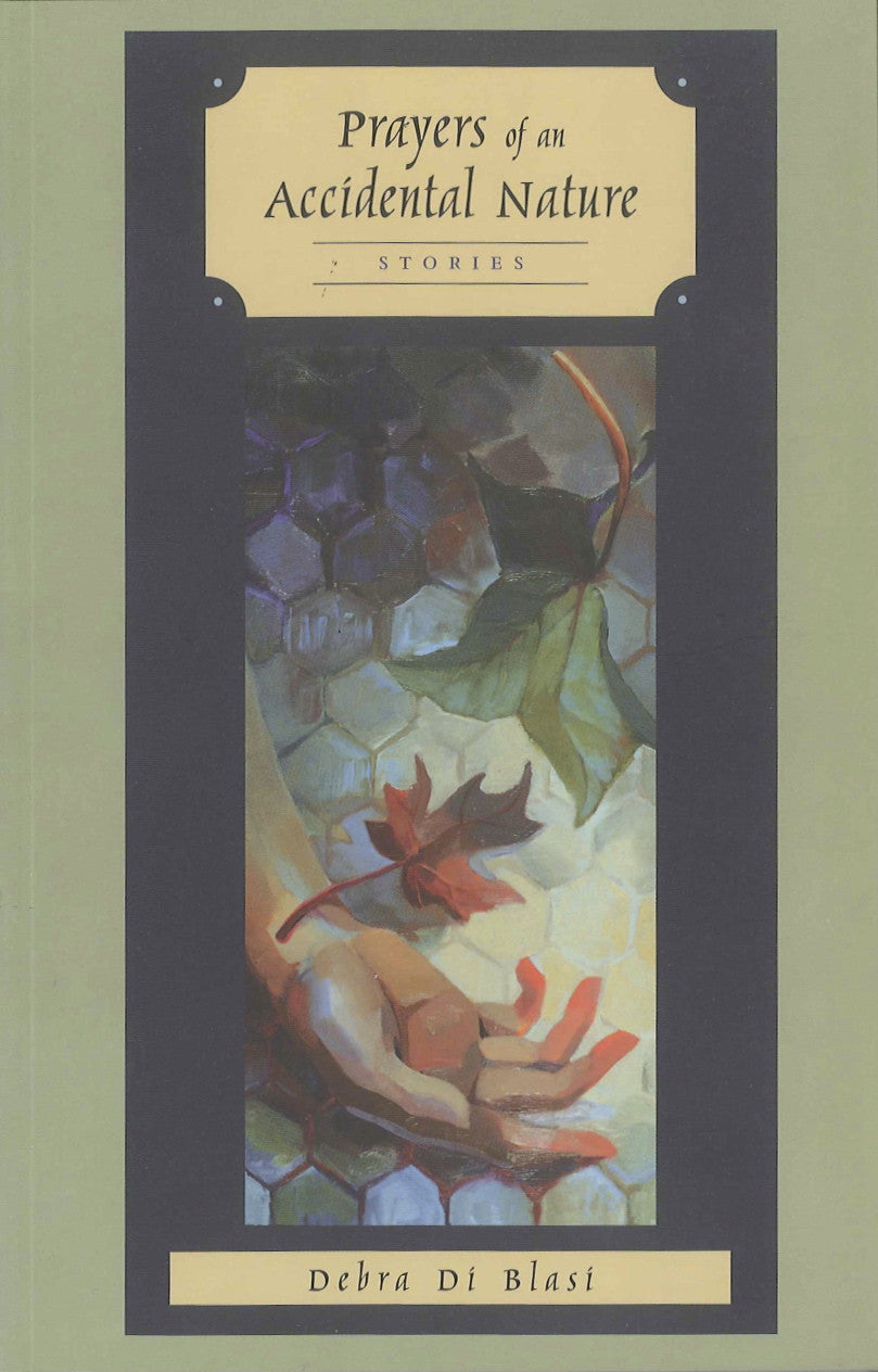 Accidental Prayers - Inspirational Christian Devotional Book for Daily Reflection & Spiritual Growth | Perfect for Personal Meditation, Bible Study & Gift Giving