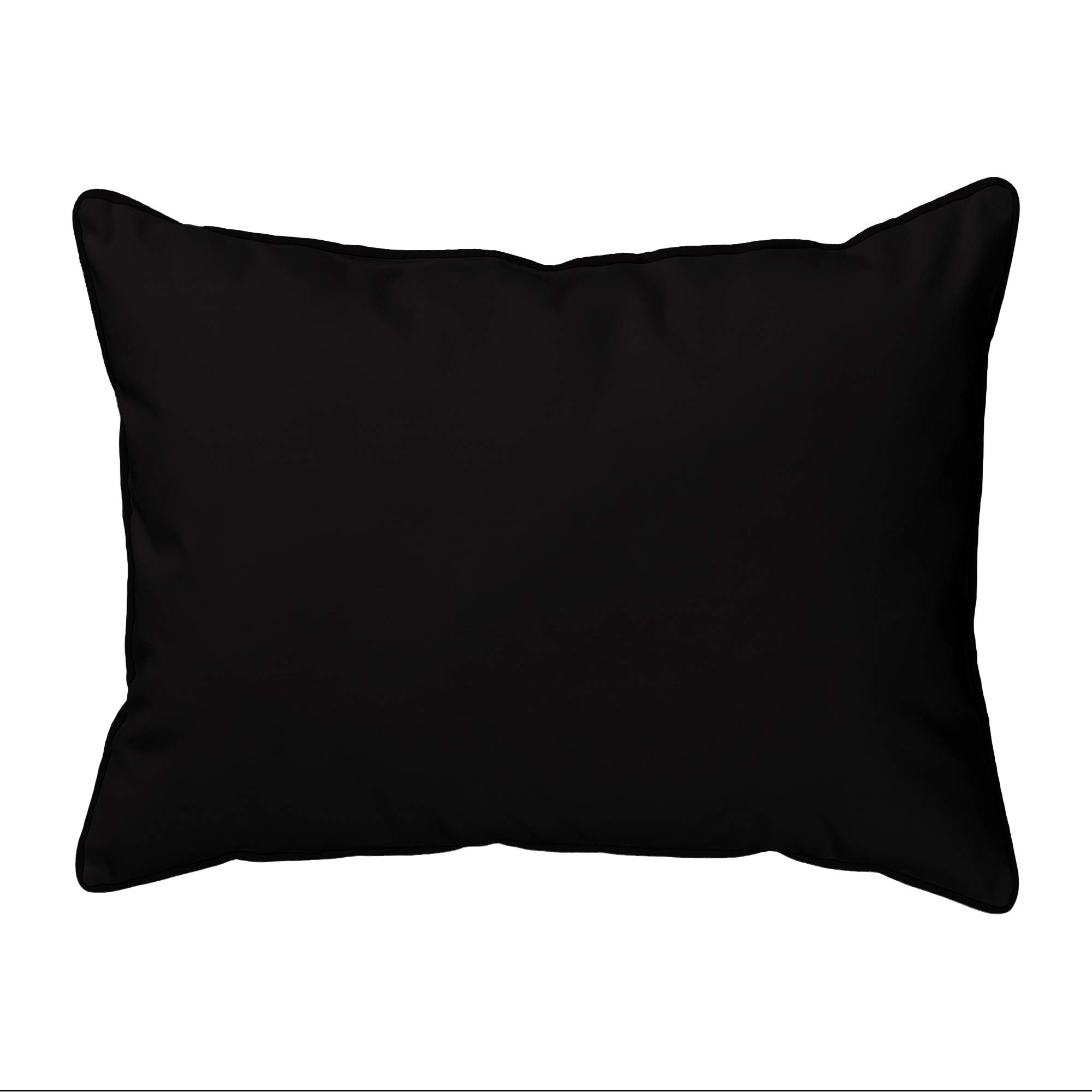 Betsy Drake Squirrel Pillow - 16x20 Inch Soft Decorative Throw Pillow for Couch, Bed, Sofa - Perfect for Living Room, Nursery & Home Decor