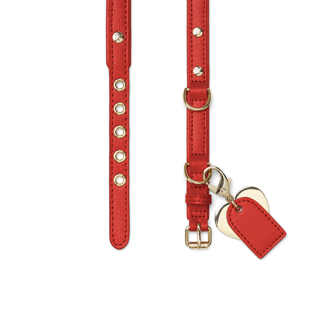 Premium Red Leather Dog Collar with Rhinestones - Adjustable & Comfortable for Small to Medium Dogs - Perfect for Walks, Training & Special Occasions