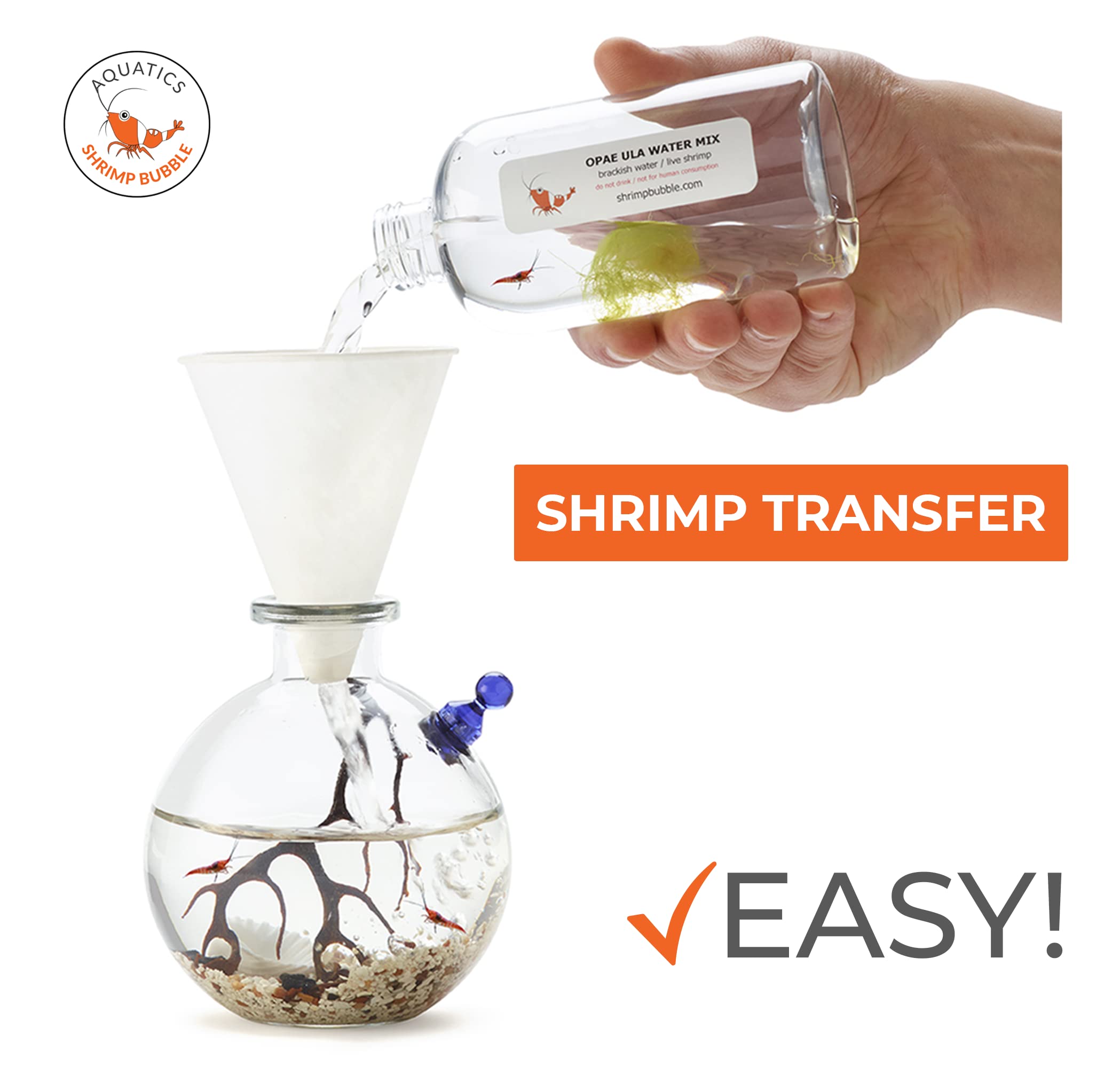 Self-Sustaining Glass Ecosystem Terrarium Kit - Indoor Plant Decor for Home, Office, or Gift - Perfect for Relaxation, Meditation & Nature Lovers